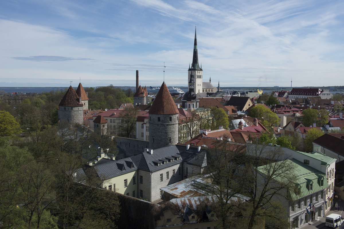 ~ Blick auf Tallinns Altstadt ~