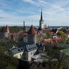 ~ Blick auf Tallinns Altstadt ~