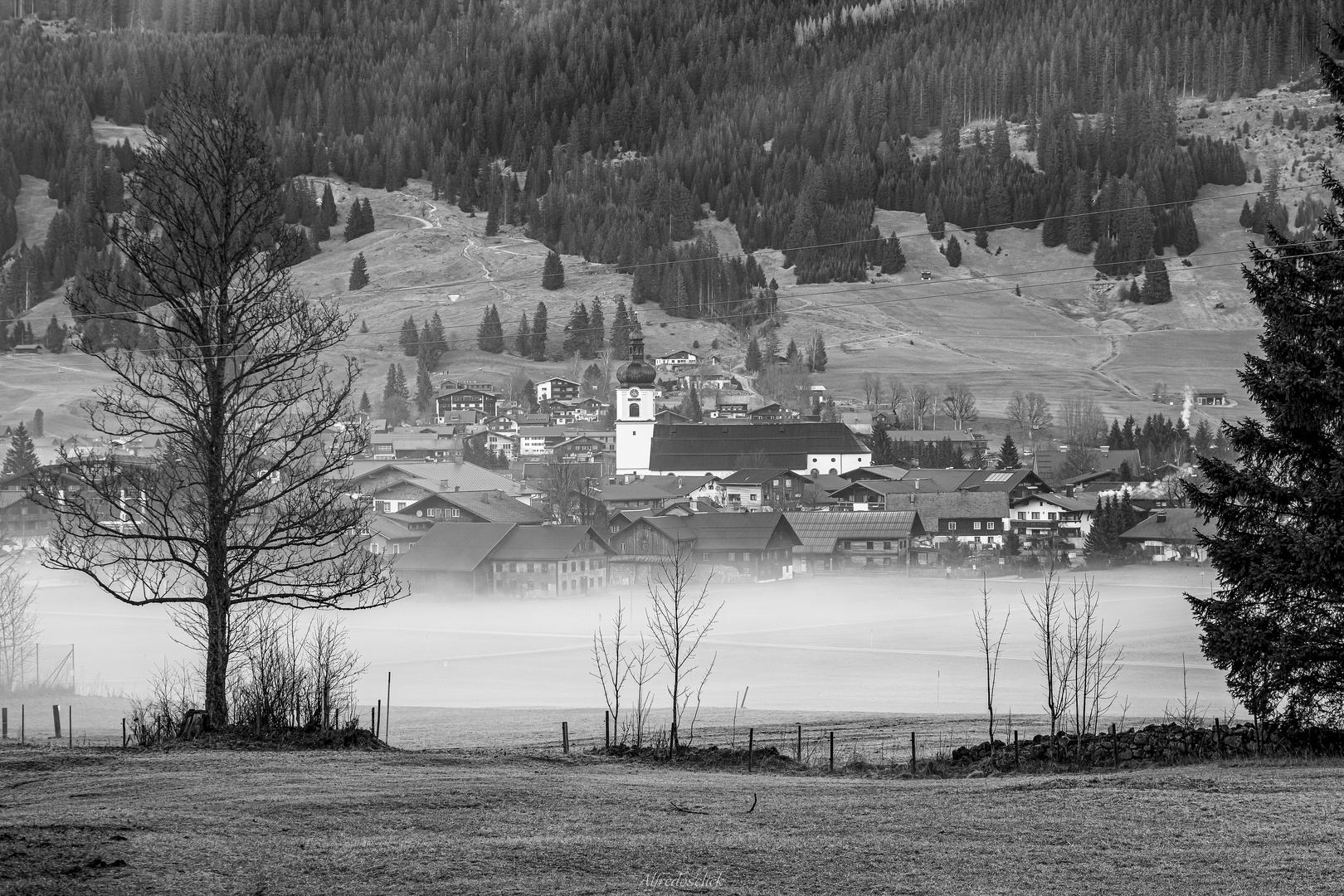 Blick auf Tannheim