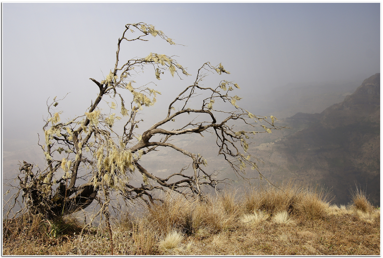 Blick auf Tigray