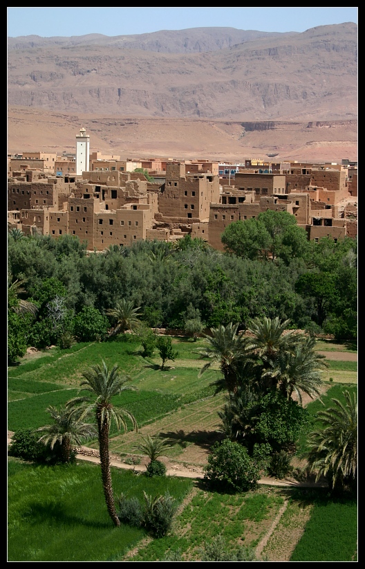 Blick auf Tinerhir und seine Oasen, Marokko