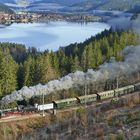 blick auf titisee