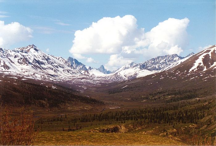 Blick auf Tombstone Mountain