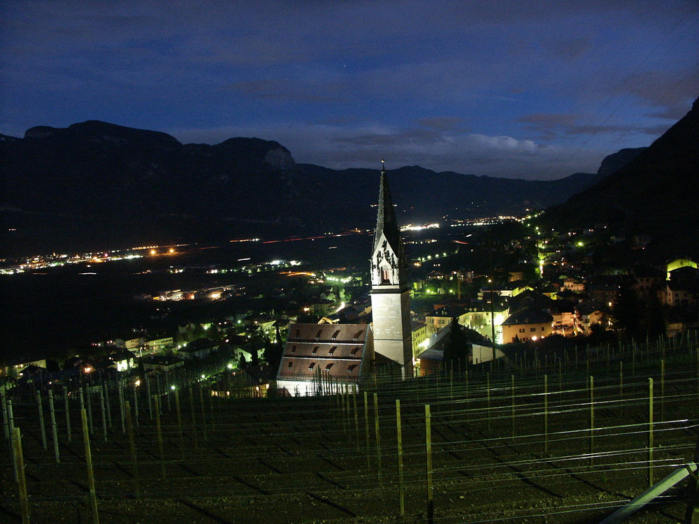 Blick auf Tramin !