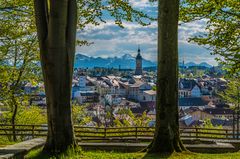 Blick auf Traunstein