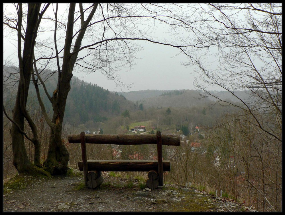 Blick auf Treseburg im Ostharz