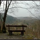 Blick auf Treseburg im Ostharz