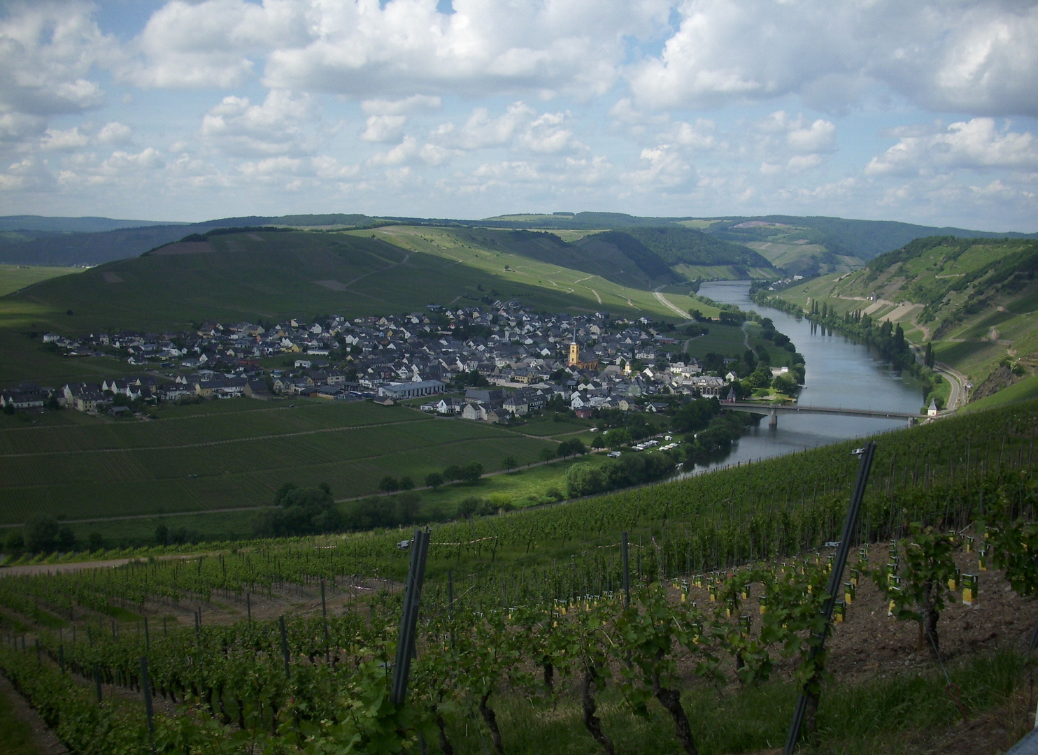 Blick auf Trittenheim mit Moselschleife