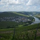 Blick auf Trittenheim mit Moselschleife