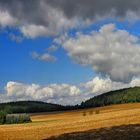 blick auf tröbigau