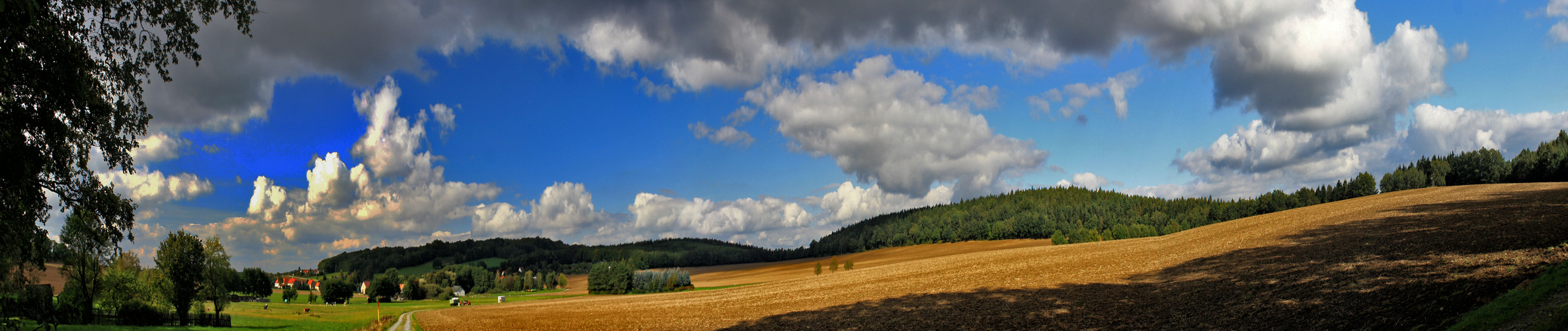 blick auf tröbigau