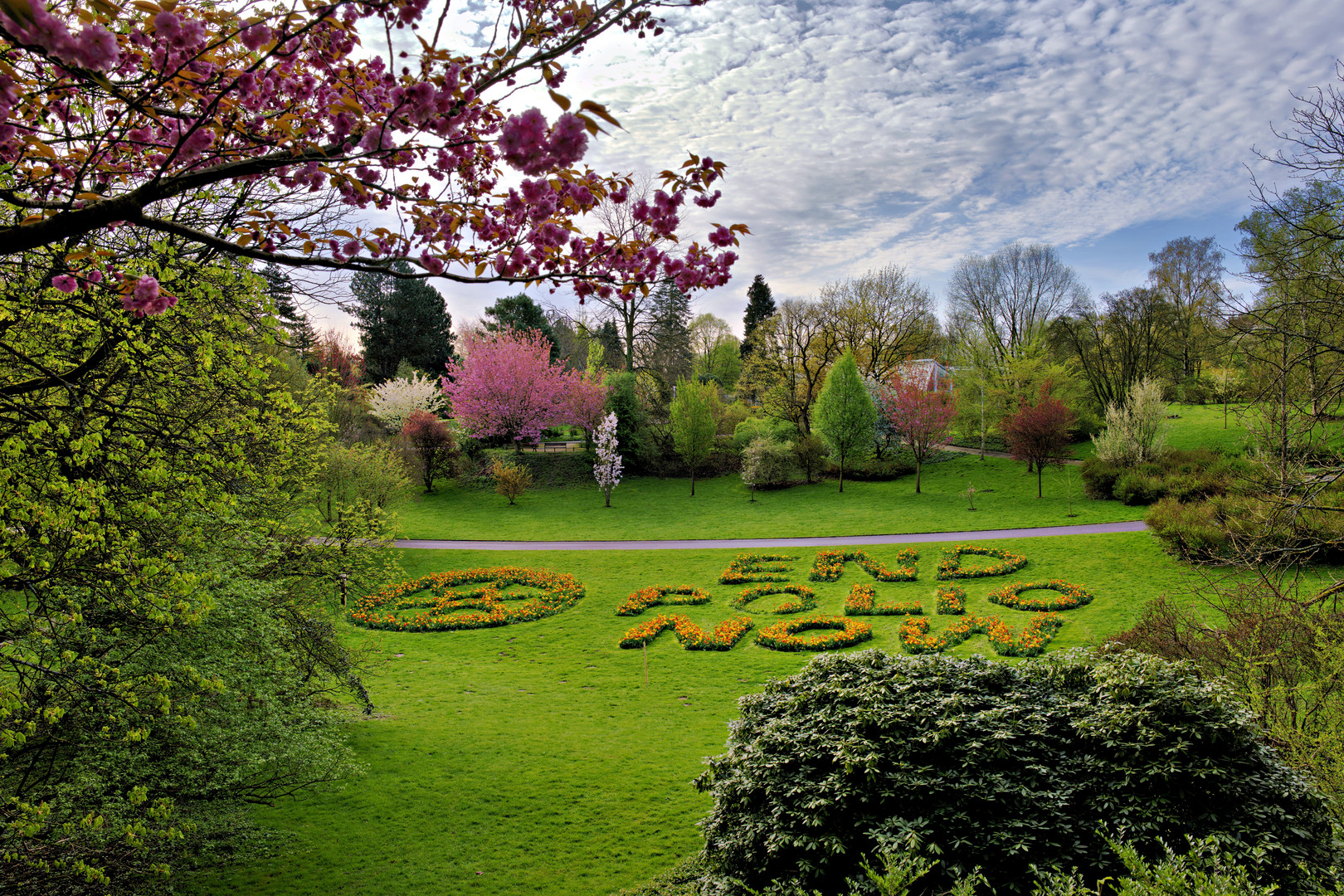 Blick auf Tulpenbeet Rombergpark