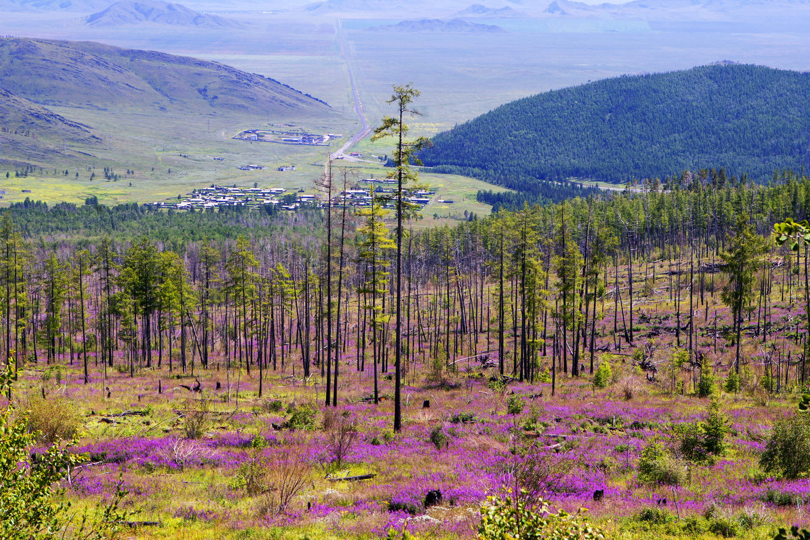 Blick auf Turan von Sayny