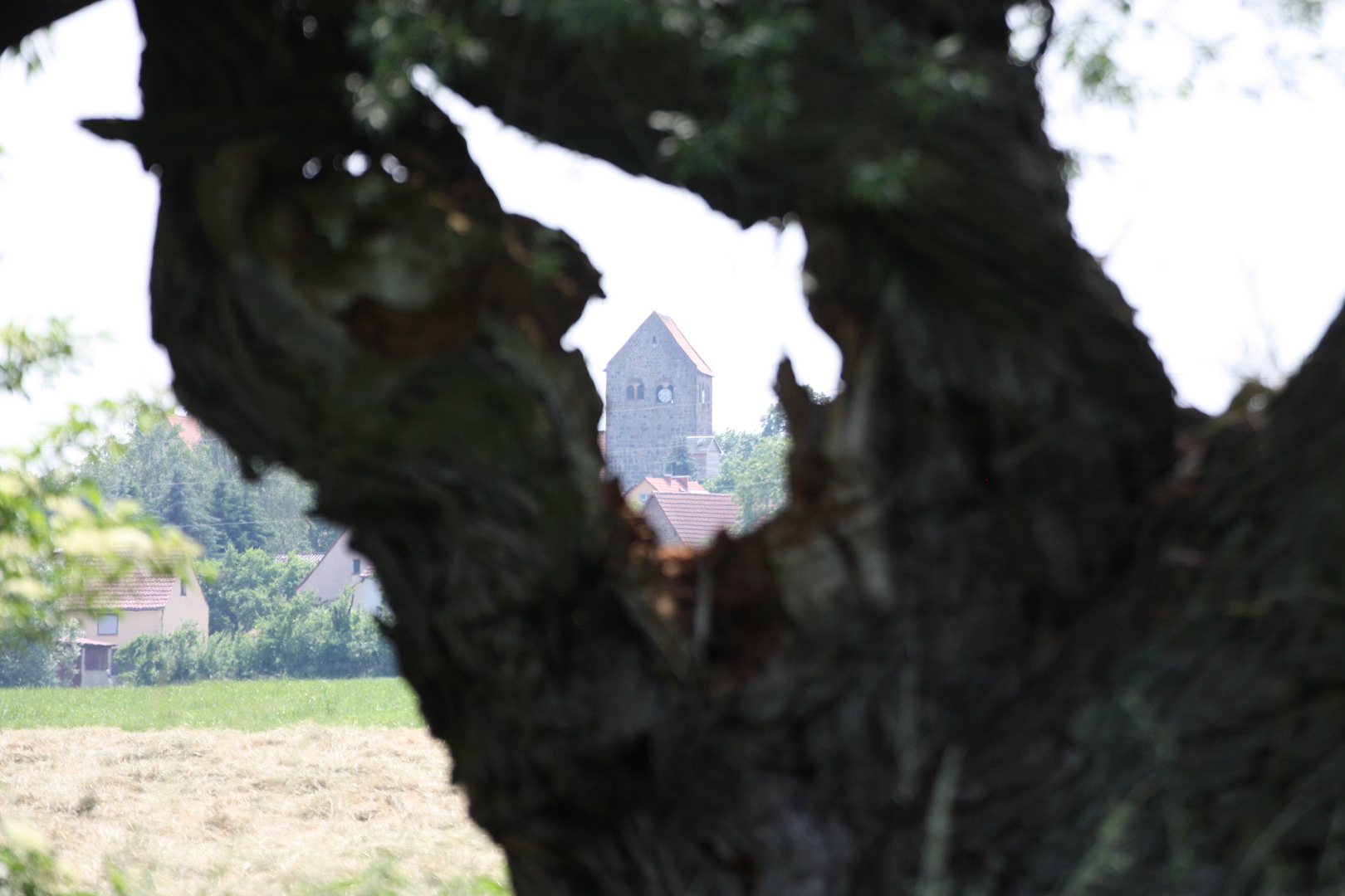 Blick auf unsere Kirche durch die Weide