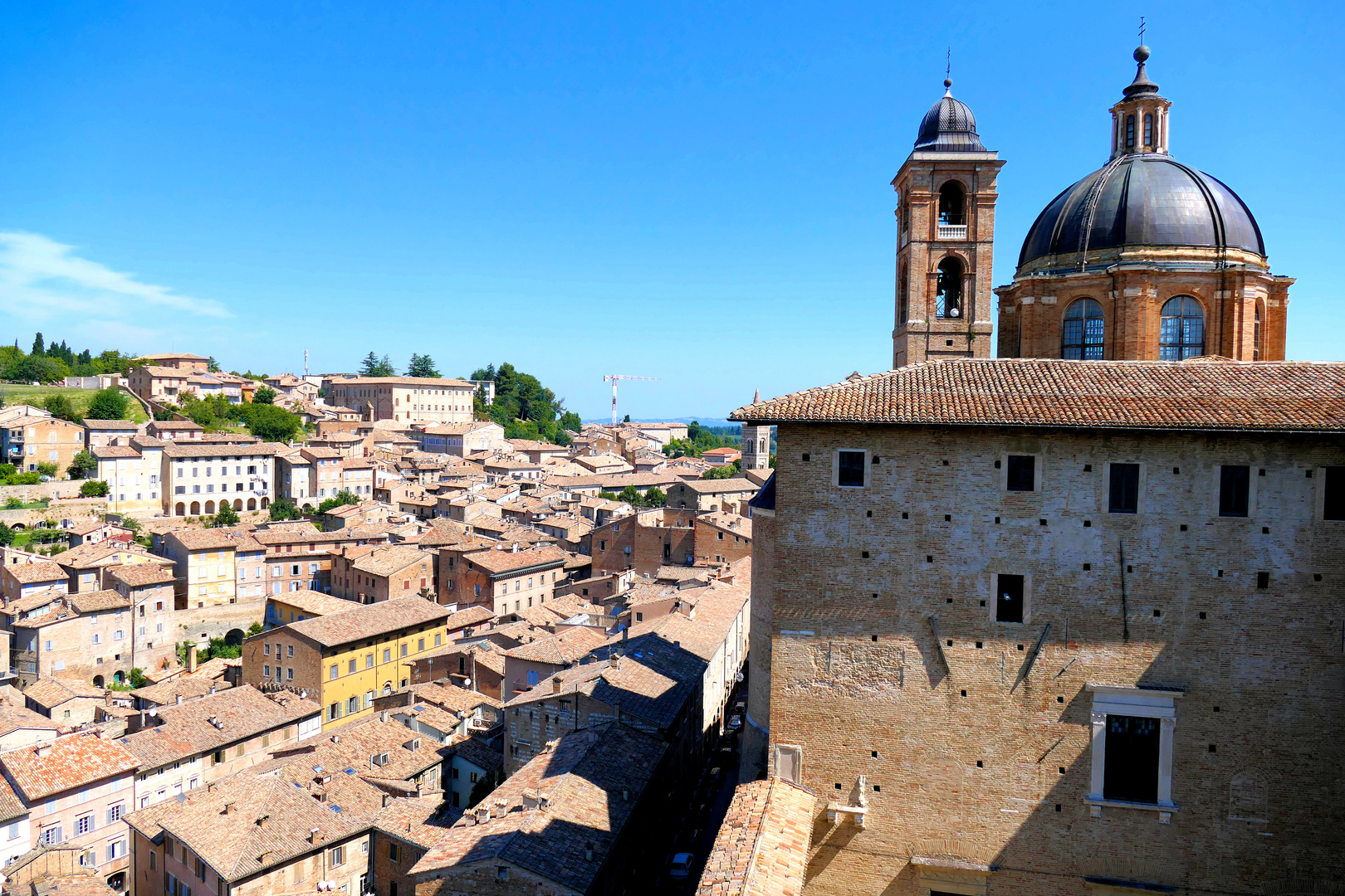 Blick auf Urbino