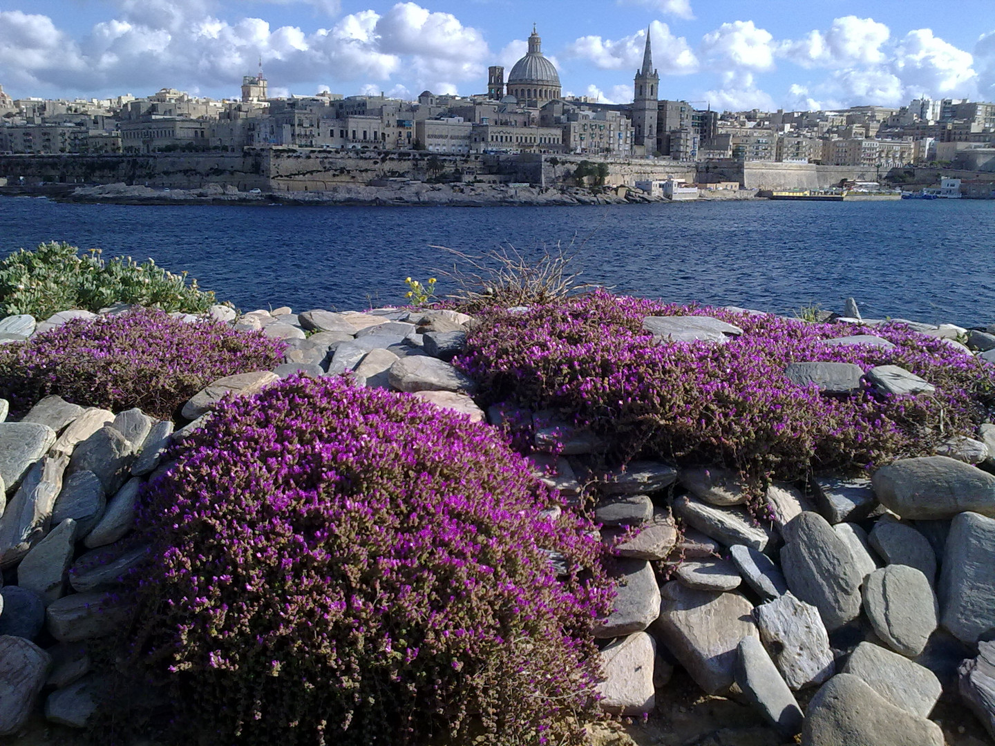 blick auf valletta von sliema aus