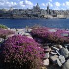 blick auf valletta von sliema aus