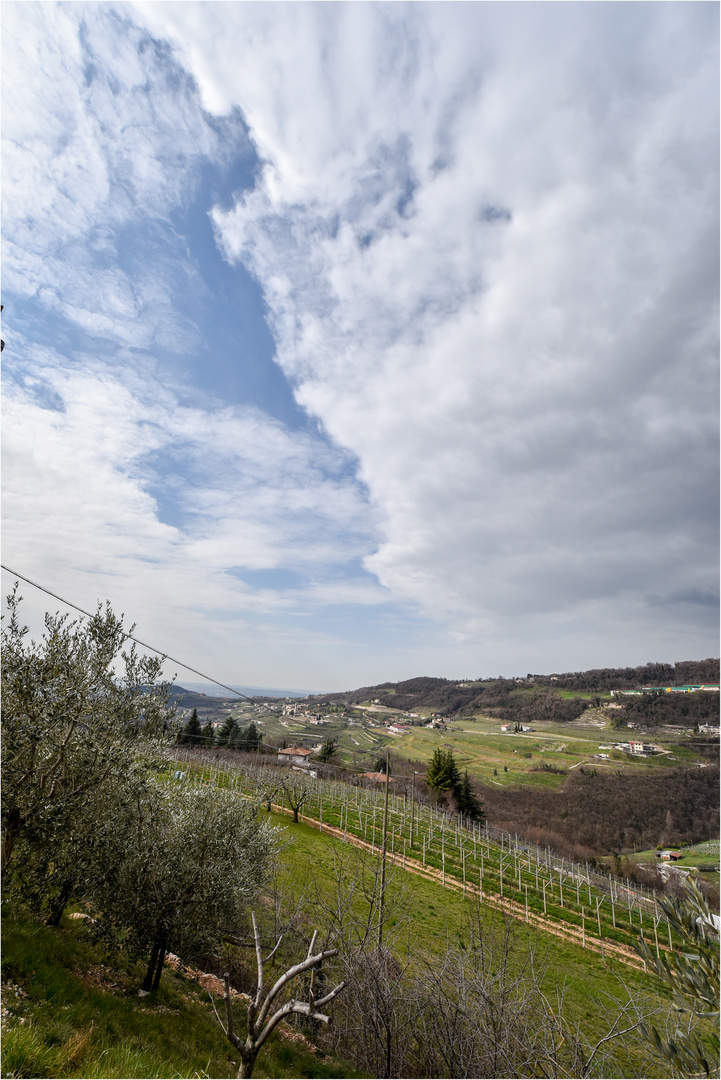 Blick auf Valpolicella