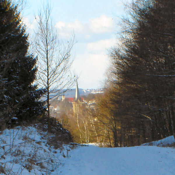 ~Blick auf Vincenzkirche~