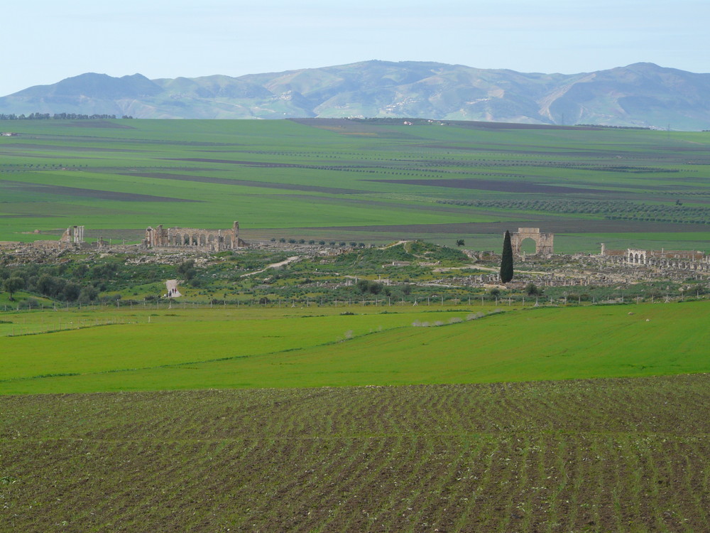 Blick auf Volubilis - nicht weit von Meknes, Marokko