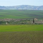 Blick auf Volubilis - nicht weit von Meknes, Marokko