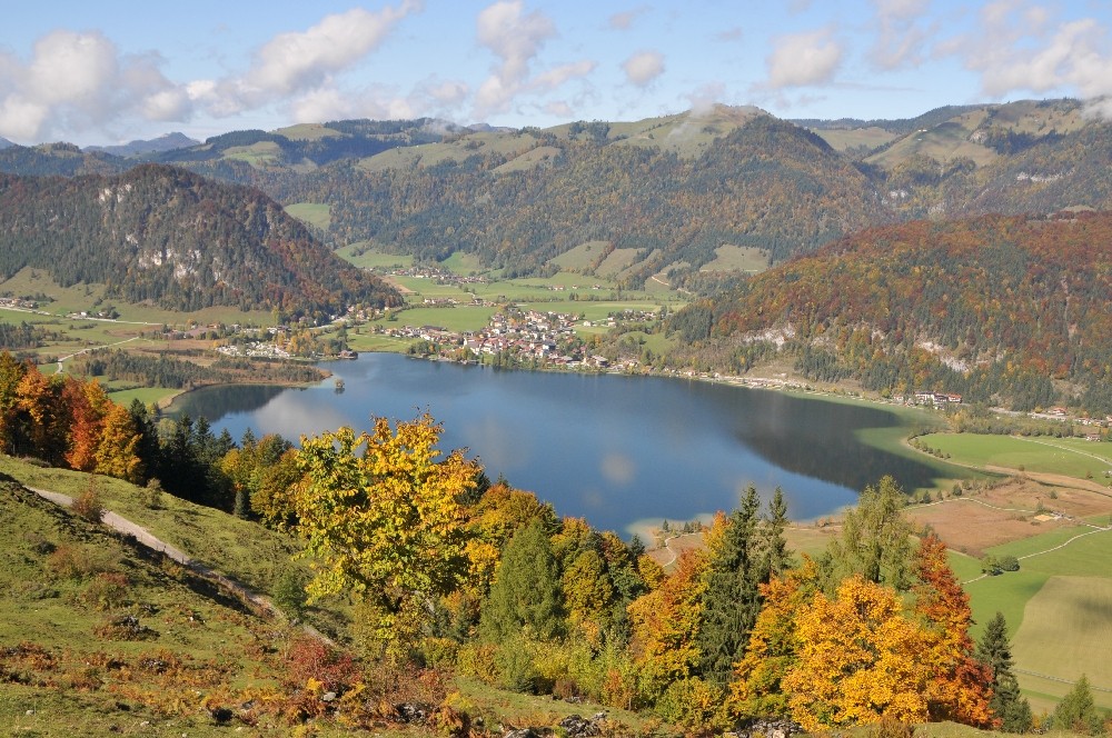 Blick auf Walchsee