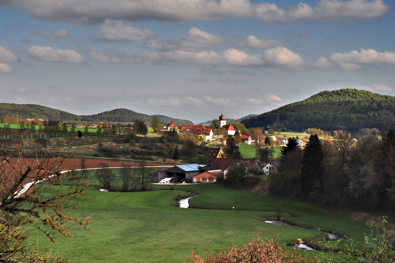 Blick auf Waldhausen