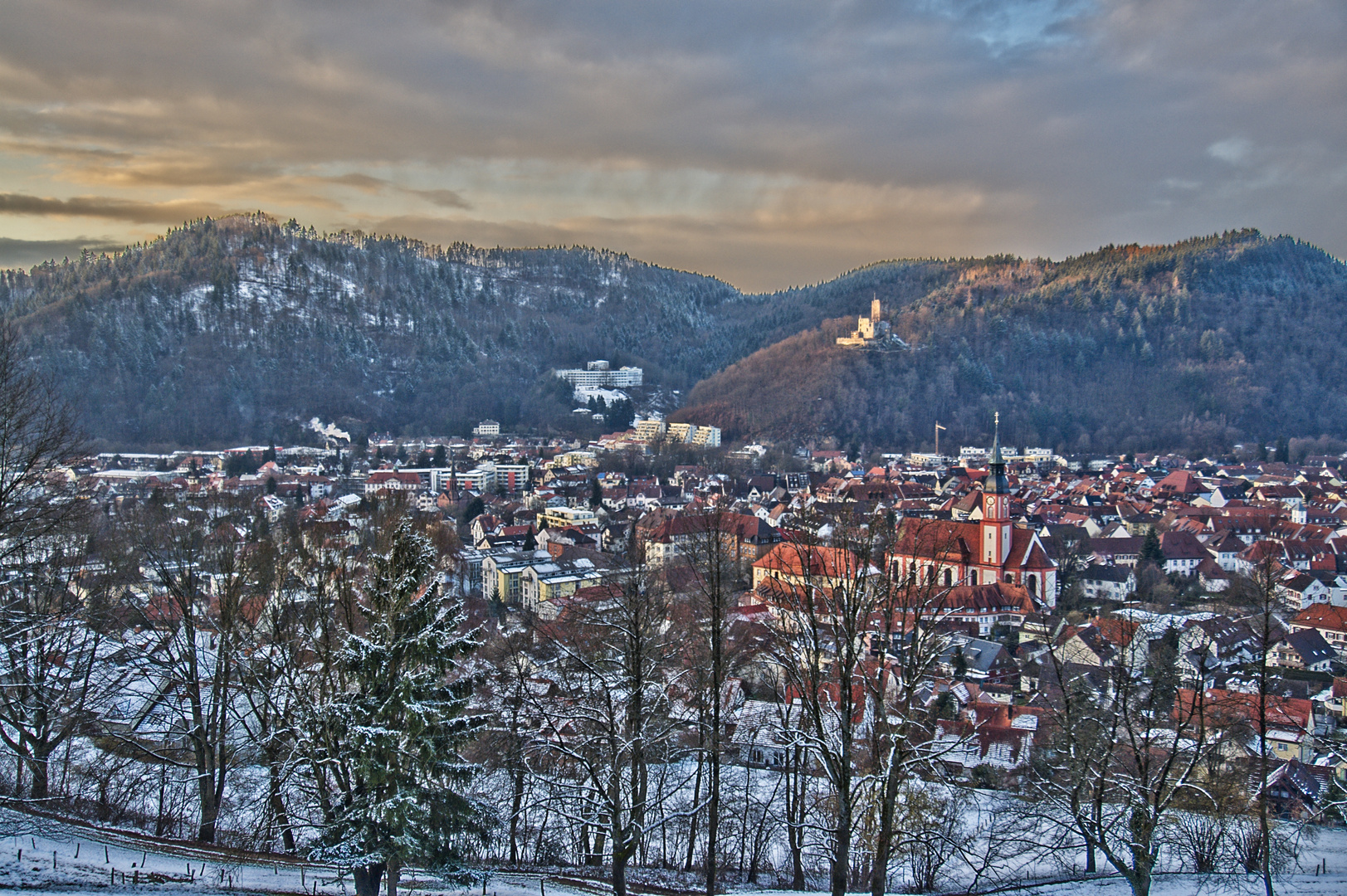 Blick auf Waldkirch