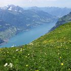 Blick auf Walensee