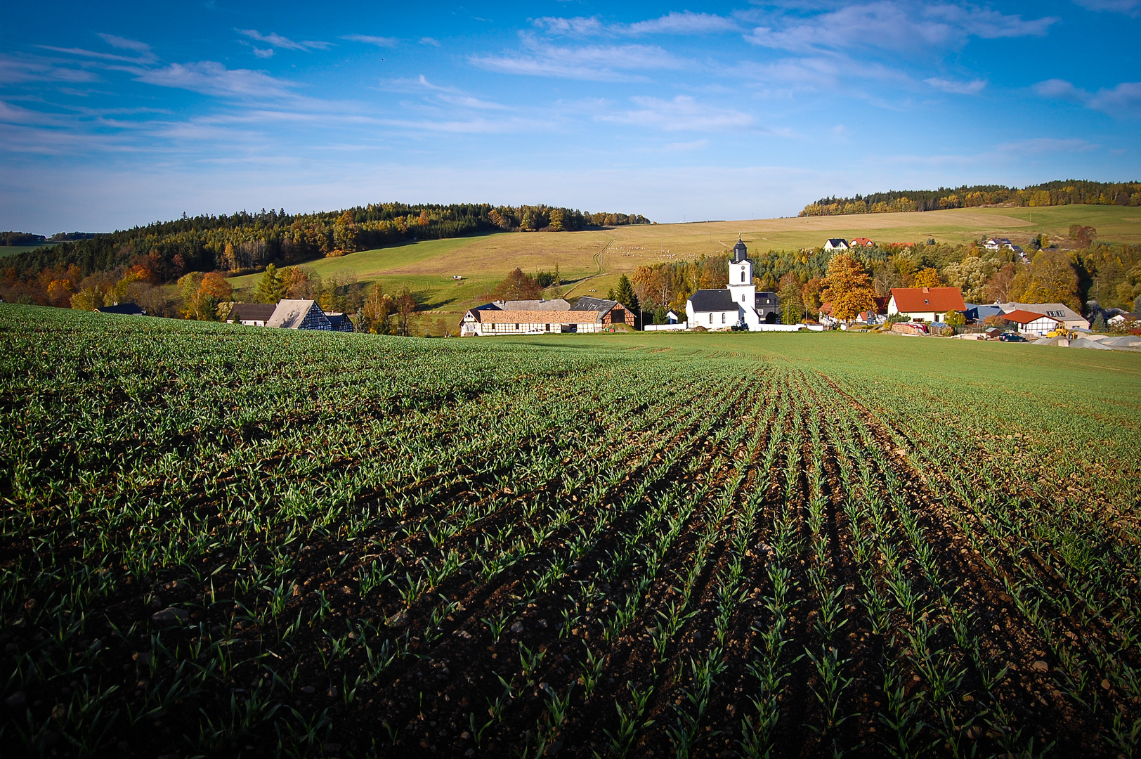 Blick auf Weckersdorf in Ostthüringen II