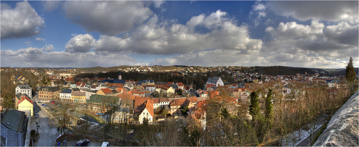 Blick auf Weida von der Osterburg(1)