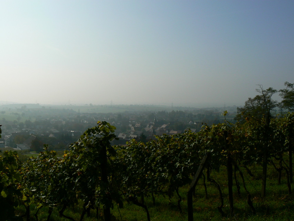 Blick auf Weiler