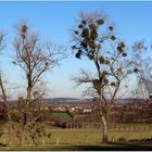 Blick auf Weißenberg vom Strohmberg aus