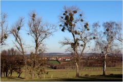 Blick auf Weißenberg vom Strohmberg aus