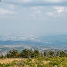 Blick auf Wernigerode 