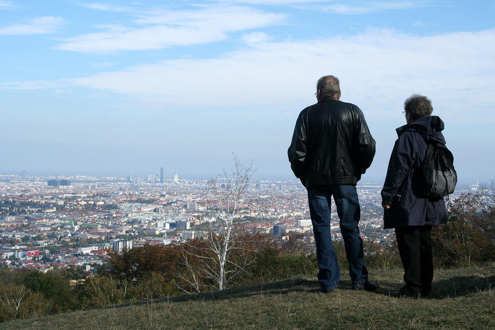 Blick auf Wien