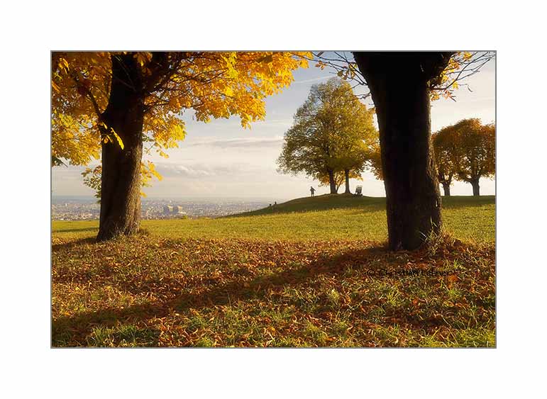 Blick auf Wien