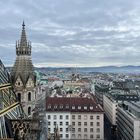 Blick auf Wien