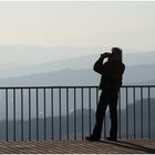 Blick auf Wien