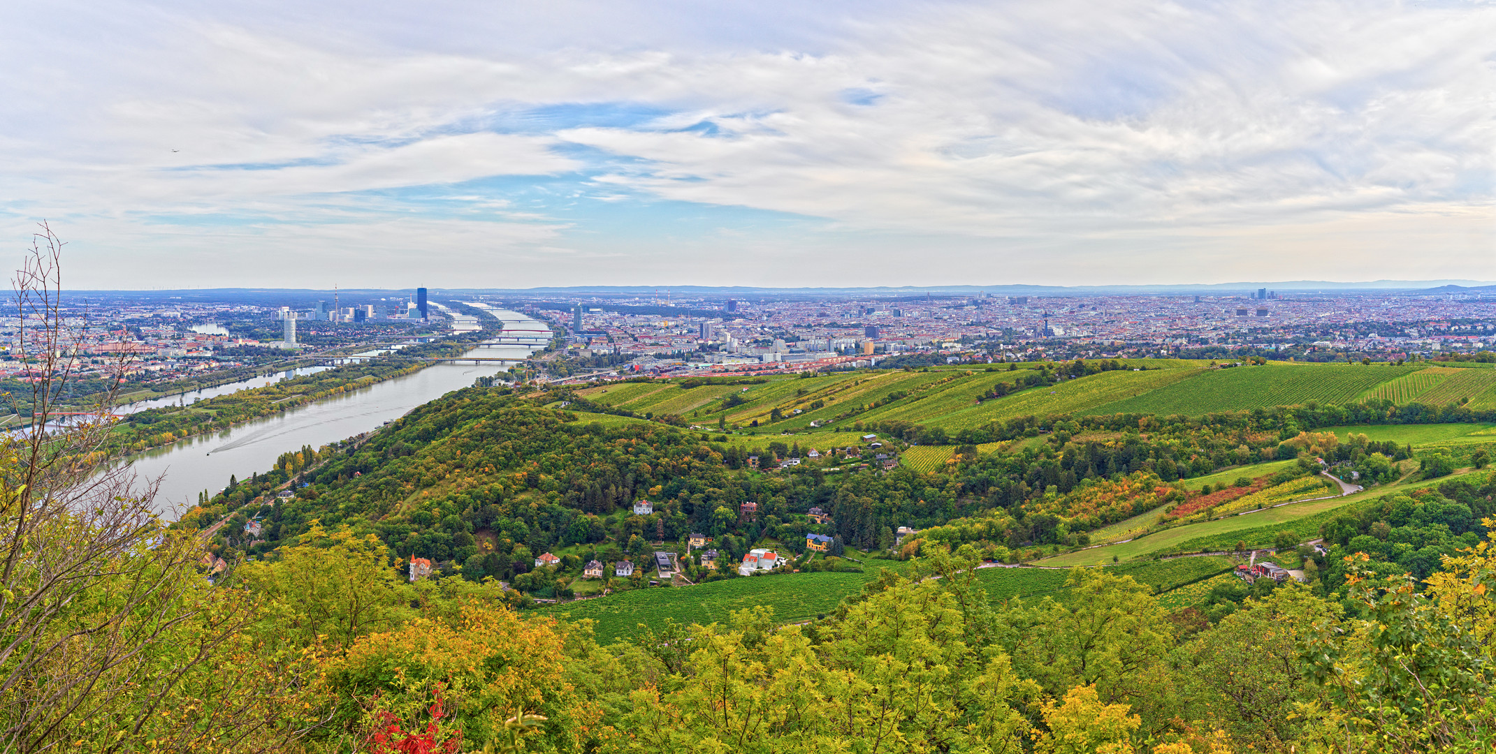 Blick auf Wien vom Leopoldsberg