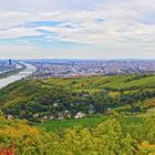 Blick auf Wien vom Leopoldsberg