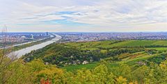 Blick auf Wien vom Leopoldsberg