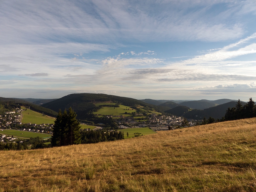 Blick auf Willingen