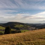 Blick auf Willingen