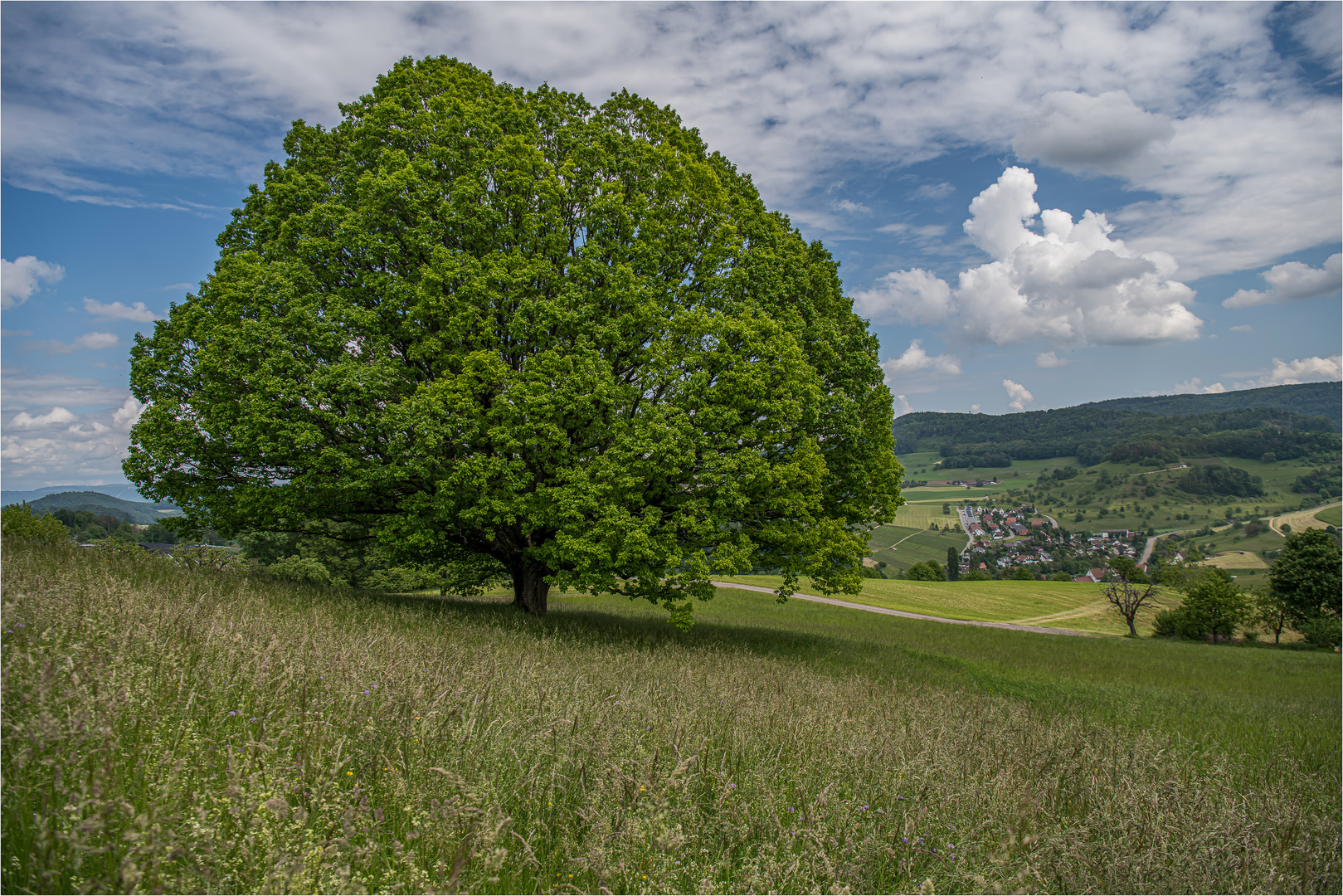 Blick auf Wintersingen