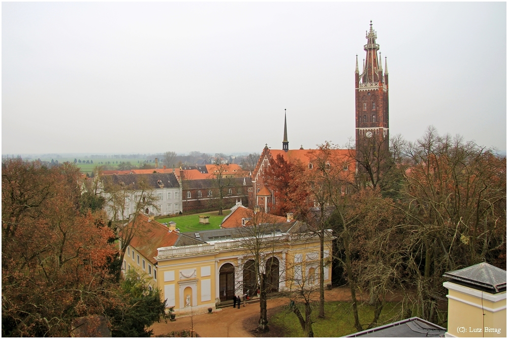 Blick auf Wörlitz