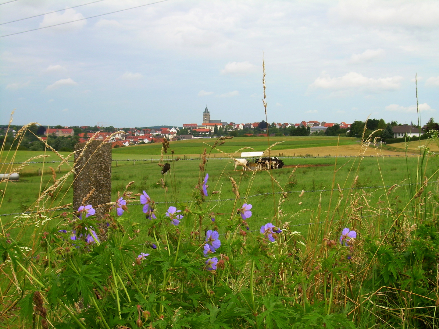 Blick auf Wolfhagen