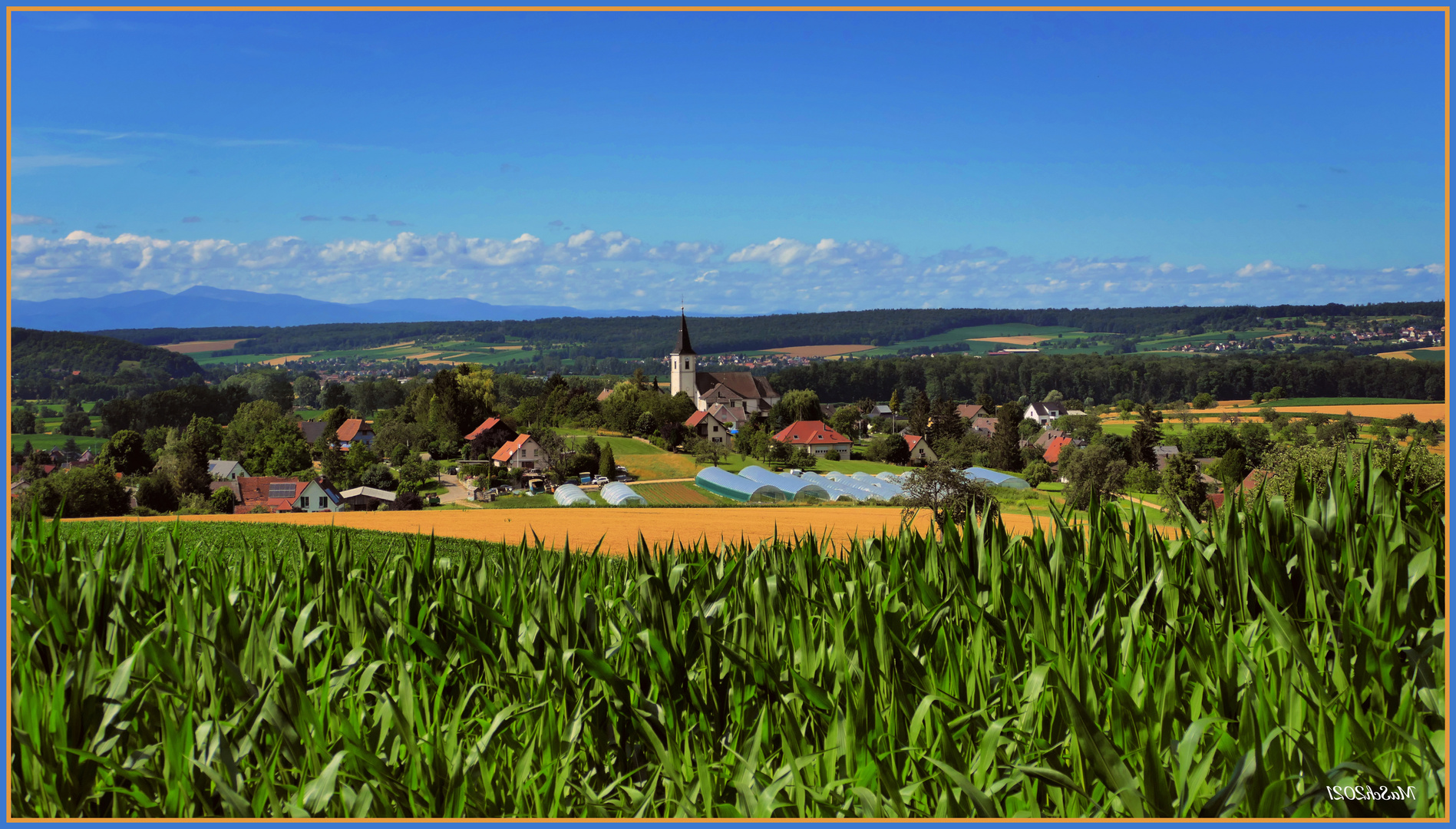 Blick auf Wolschwiller