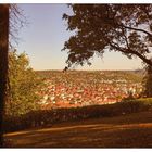 Blick auf Würzburg Sanderau