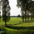 Blick auf Xanten